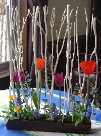 2006.3.14i
